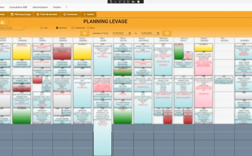 planning